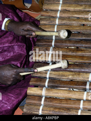 Instrument de musique traditionnel, Xylophone, balo, Gambie, Afrique de l'Ouest Banque D'Images