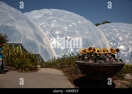 Les dômes à la serre Eden Project Cornwall Royaume-uni Europe Banque D'Images