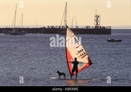 L'homme et le chien de la planche à voile, de l'Australie Banque D'Images