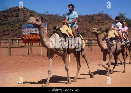 Tour de chameau à Alice Springs, Australie centrale Banque D'Images