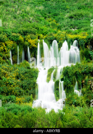 NIAGARA USA IDAHO SPRINGS STATE PARK 000 springs de cascades en cascade Hagerman Valley Banque D'Images