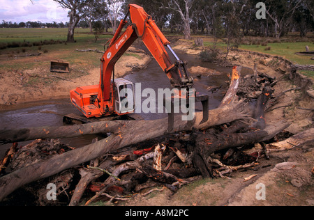 Compensation de l'excavateur arbres tombés de Creek, près de Euroa SW Victoria Australie l'horizontale Banque D'Images