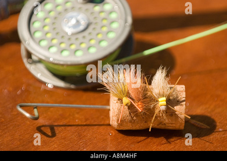 Illustration de pêche de reel, cork communiqué de Hook et colorée des mouches. New York, USA Banque D'Images