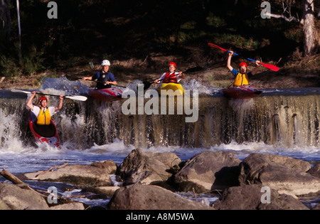 Kayak rapids Rivière Yarra à Dights Falls Fairfield Melbourne Australie Victoria l'horizontale Banque D'Images