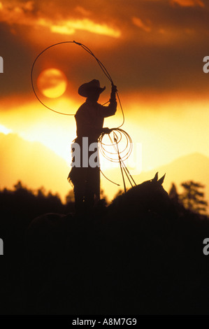 USA IDAHO Cowboy wrangler sur l'pierres corde avec coucher du soleil dans l'arrière-plan MR Banque D'Images