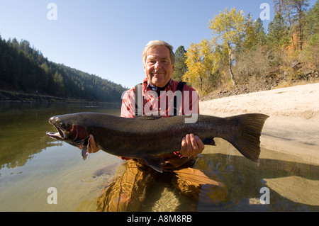 La rivière Clearwater fisherman holding grandes truites arc-en-ciel près de Orofino, Idaho Banque D'Images