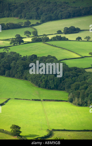 Une mosaïque de champs et d'arbres nr Porlock Somerset Grande-bretagne Banque D'Images