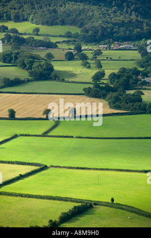 Les champs de fermes et de forêts nr Porlock Somerset Grande-bretagne Banque D'Images