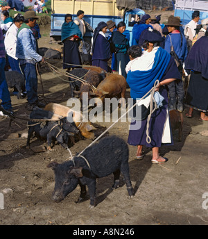 Un groupe d'Équatoriens autochtones indiens d'Amérique du Sud au marché des animaux dans la ville d'Otavalo Imbabura province Equateur Banque D'Images