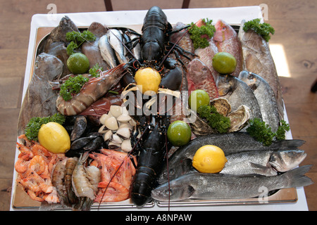 Affichage de fruits de mer Banque D'Images