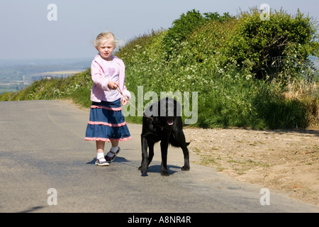 Quatre ans fille blonde en tenant le labrador noir pour une promenade sur les routes de campagne, Cotswolds, Royaume-Uni Banque D'Images