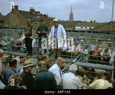 Louth Lincolnshire aux enchères de bétail ovin marché les jeudis Banque D'Images