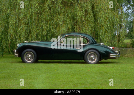 Jaguar XK140 coupé tête fixe 1956 classic car Banque D'Images