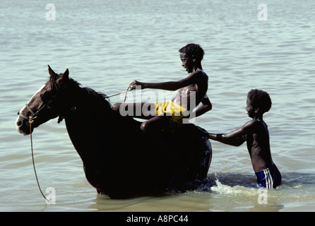 Deux garçons avec un cheval à jouer dans le Nil à Kartoum Soudan Banque D'Images