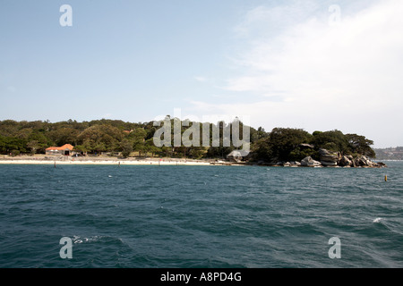 Shark Bay et plage de pointe d'acier dans la région de Vaucluse à partir de l'eau du port de Sydney en Nouvelle Galles du sud , Australie Banque D'Images