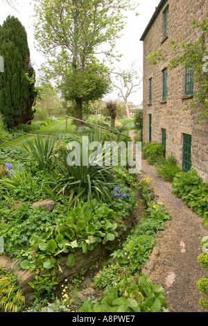 Angleterre Somerset East Lambrook Manor le poisson Dorothy Chalet jardin Banque D'Images