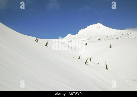 Le Mont Hood, Oregon -- blanc, pur, et belle Banque D'Images