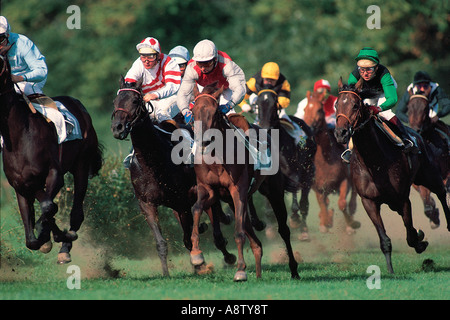 Courses de chevaux loisirs Sport Vie Banque D'Images