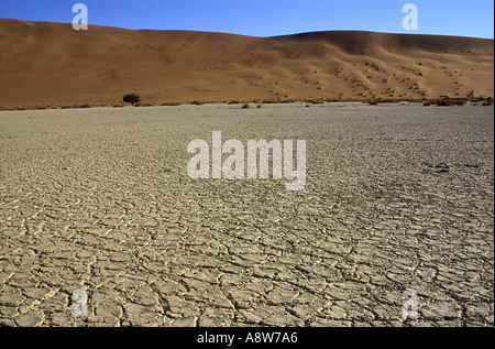 Cracked earth dans le lit de Sossusvlei dans le Namib Naukluft National Park Afrique du sud-ouest de la Namibie Banque D'Images