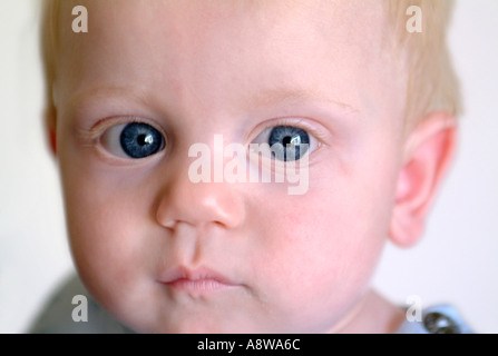 Portrait d'un bébé âgé de huit mois garçon. Banque D'Images
