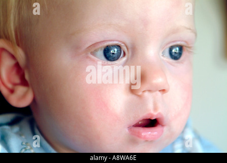 Portrait d'un bébé âgé de huit mois garçon. Banque D'Images