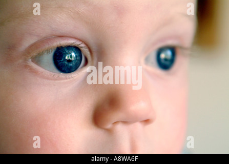 Un bébé de huit mois, ses yeux. Banque D'Images