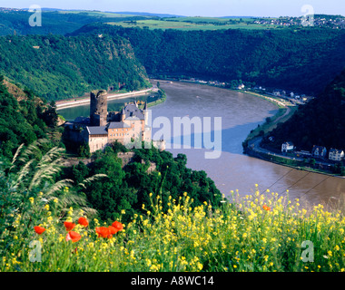 Château Katz et Loreley Rock Vallée du Rhin, Allemagne Banque D'Images