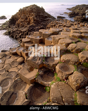United Kingdom. L'Irlande du Nord. Le comté d'Antrim. Chaussée des Géants Banque D'Images