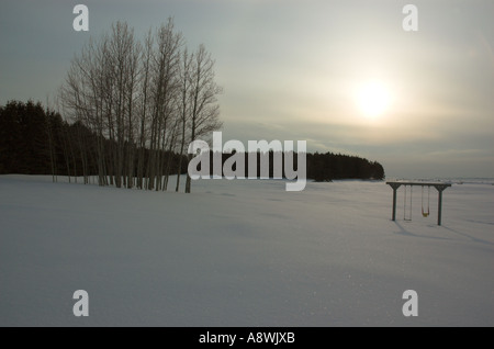 Un stand de jeunes érables et un swing childs silhouette sur le coucher de soleil au milieu de l'hiver en Gaspésie Québec Canada Banque D'Images