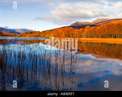 LOCHEN À LOCH LOMOND ET LA VUE À BEN LOMOND Banque D'Images