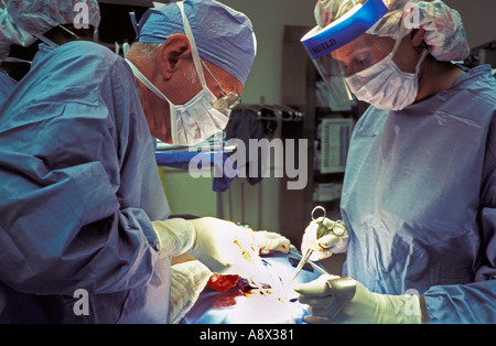 Prestation de l'équipe chirurgicale en salle d'opération de transplantation rénale Banque D'Images