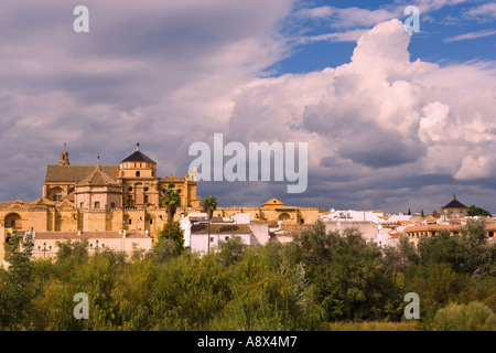 Espagne Cordoue La Mezquita la Grande Mosquée vu à travers la rivière Guadalquivir Banque D'Images