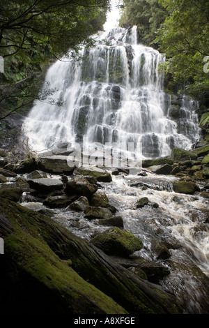 Nelson Falls dans l'ouest de la Tasmanie Banque D'Images