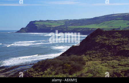 À la pointe sud de l'ancien sud (JOUE) et au-dessus de la falaise de Ravenscar Robin Hood's Bay, North Yorkshire, Angleterre Banque D'Images