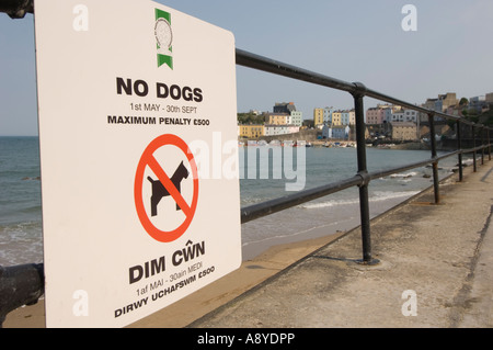 Pays de Galles - tenby avertissement signe les propriétaires de chiens de ne pas prendre leurs animaux de compagnie sur la plage en été Banque D'Images