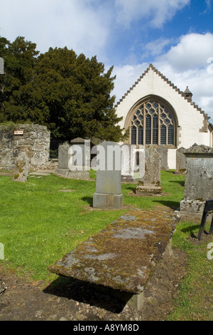 dh Scottish Yew Tree churchyard FORTINGALL PERTHSHIRE 5000 ans Europes le plus ancien arbre vivant à feuilles persistantes kirk taxus baccata église écossaise Banque D'Images
