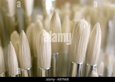 Pinceaux Banque D'Images