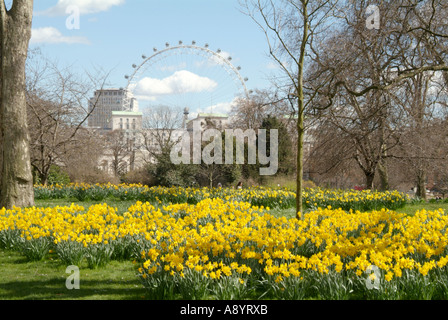 St, James, parc, London, oeil, vue, jonquilles, printemps, printemps, dans, touristiques, de l'attraction, la ville, le tourisme, Banque D'Images