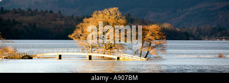 Parc National de Lake District Derwent Water inondation après une pluie torrentielle submergeant partiellement capture arbres hiver soleil passerelle Banque D'Images