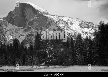 La neige a couvert Foggy Mountain peaks dans la région de Yosemite National Park Banque D'Images