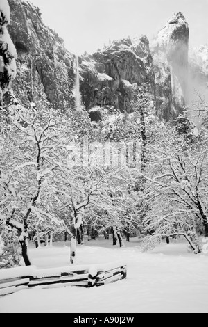 Bridalveil Fall couvertes de neige dans le Parc National de Yosemite Banque D'Images