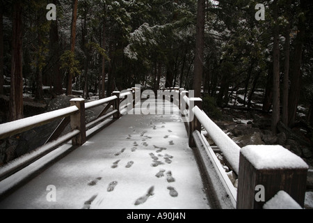 La neige a couvert pied pont sur le ruisseau de Yosemite Banque D'Images