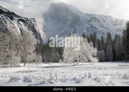 La neige a couvert Foggy Mountain peaks dans la région de Yosemite National Park Banque D'Images