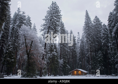 La neige a couvert log cabin en Yosemite National Park Banque D'Images