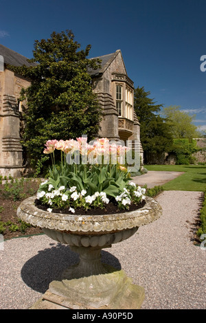 Angleterre Somerset Wells accueil palais des évêques à l'évêque de Bath et Wells tulipes dans le jardin Banque D'Images