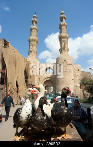 La mosquée Bab Zuweila Scène de rue Le Caire islamique Le Caire Egypte Afrique du Nord Banque D'Images