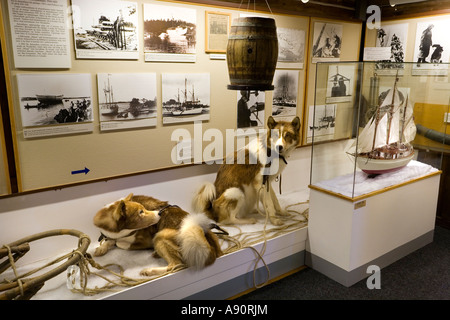 Articles à partir de l'Expédition de Roald Amundsen au pôle Sud dans le musée polaire (Polarmuseet) à Tromso, Norvège Banque D'Images