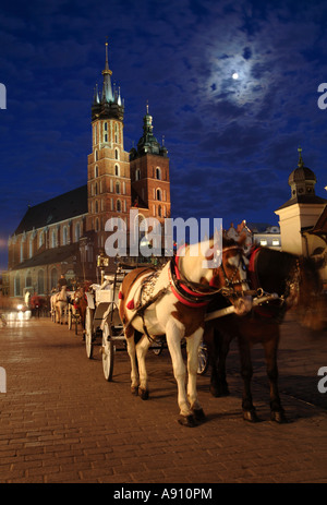Coach cheval devant l'église Saint Mary's dans la place Rynek Glowny, Cracovie, Pologne Banque D'Images