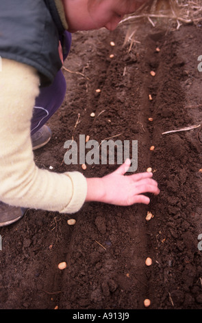 Jeune fille de planter des graines dans le jardin de légumes Banque D'Images