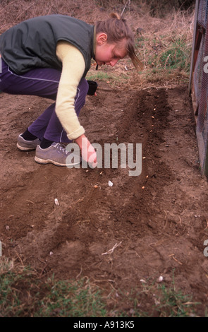 Jeune fille de planter des graines dans le jardin de légumes Banque D'Images